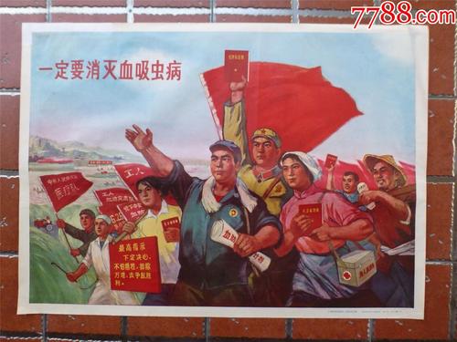 高中毕业证号是身份证号码
